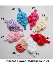 Beautiful Princess Flowers Headbands  (L120)