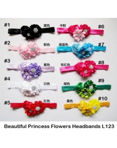 Beautiful Princess Flowers Headbands (L123)