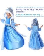 Snowy Frozen Party Costume/ Dress (4pcs Set)